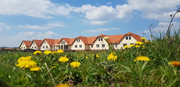Casa Tulipan - Centrul de îngrijire și asistență pentru persoane vârstnice — Aluniș