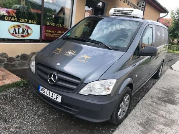 Alfa Funerar — Ernei