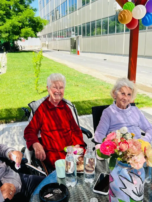 AsertivO - Servicii Premium Pentru Seniori — Otopeni