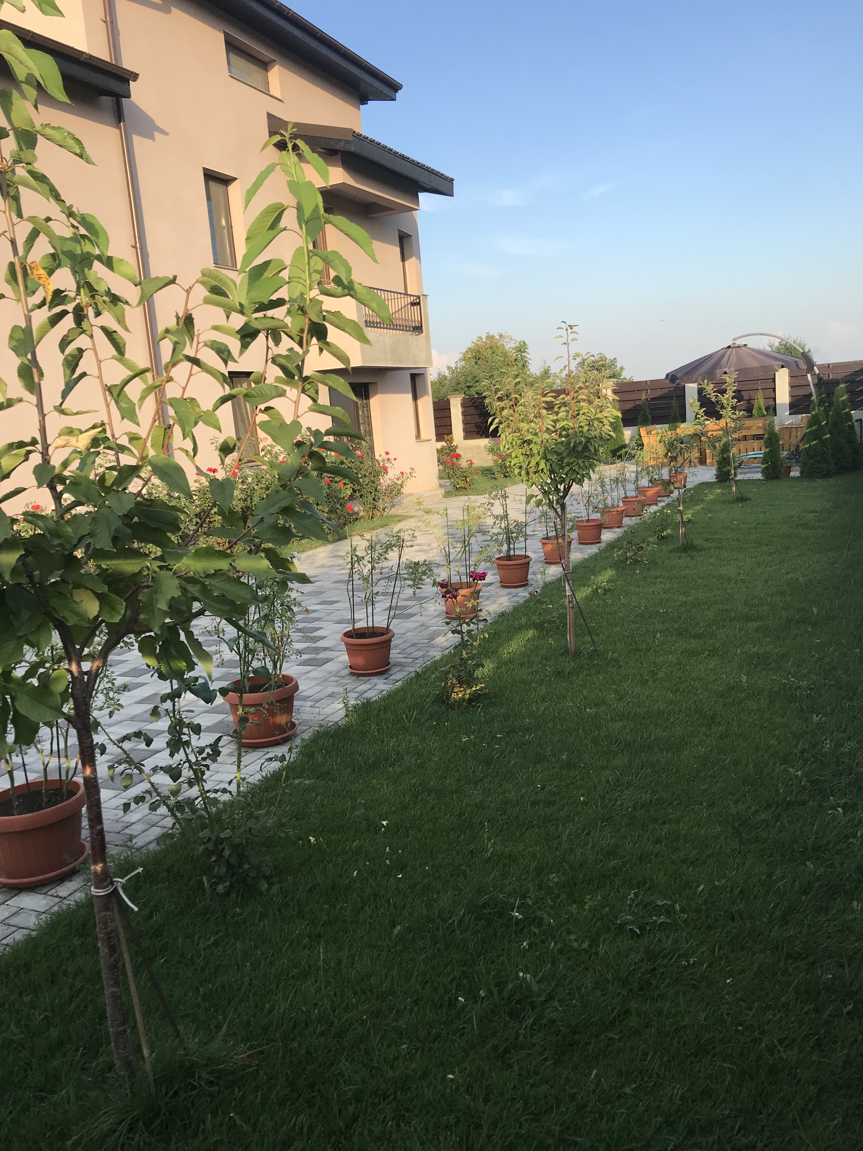 Căminul pentru persoane vârstnice Casa Sufletului 2
