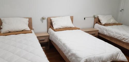 Cămin pentru persoane vârstnice Sivomed 2