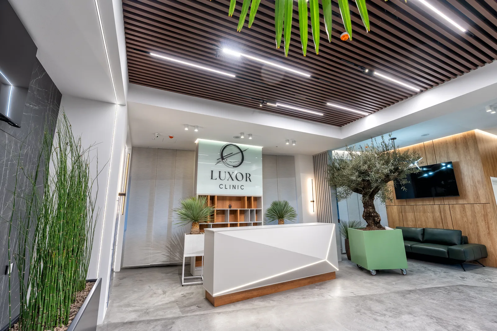 LUXOR CLINIC 3