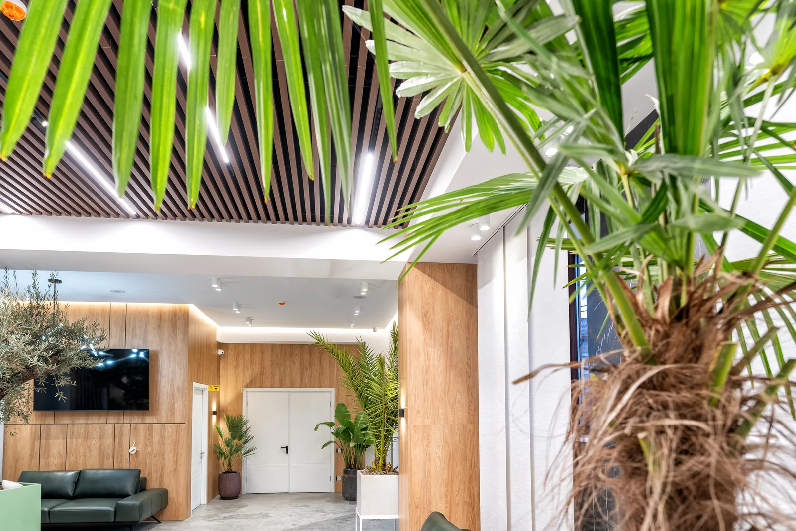 LUXOR CLINIC 4