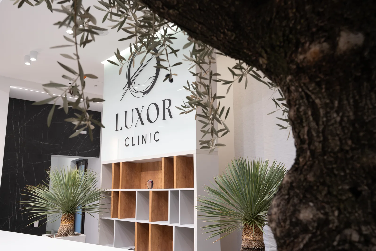 LUXOR CLINIC 5