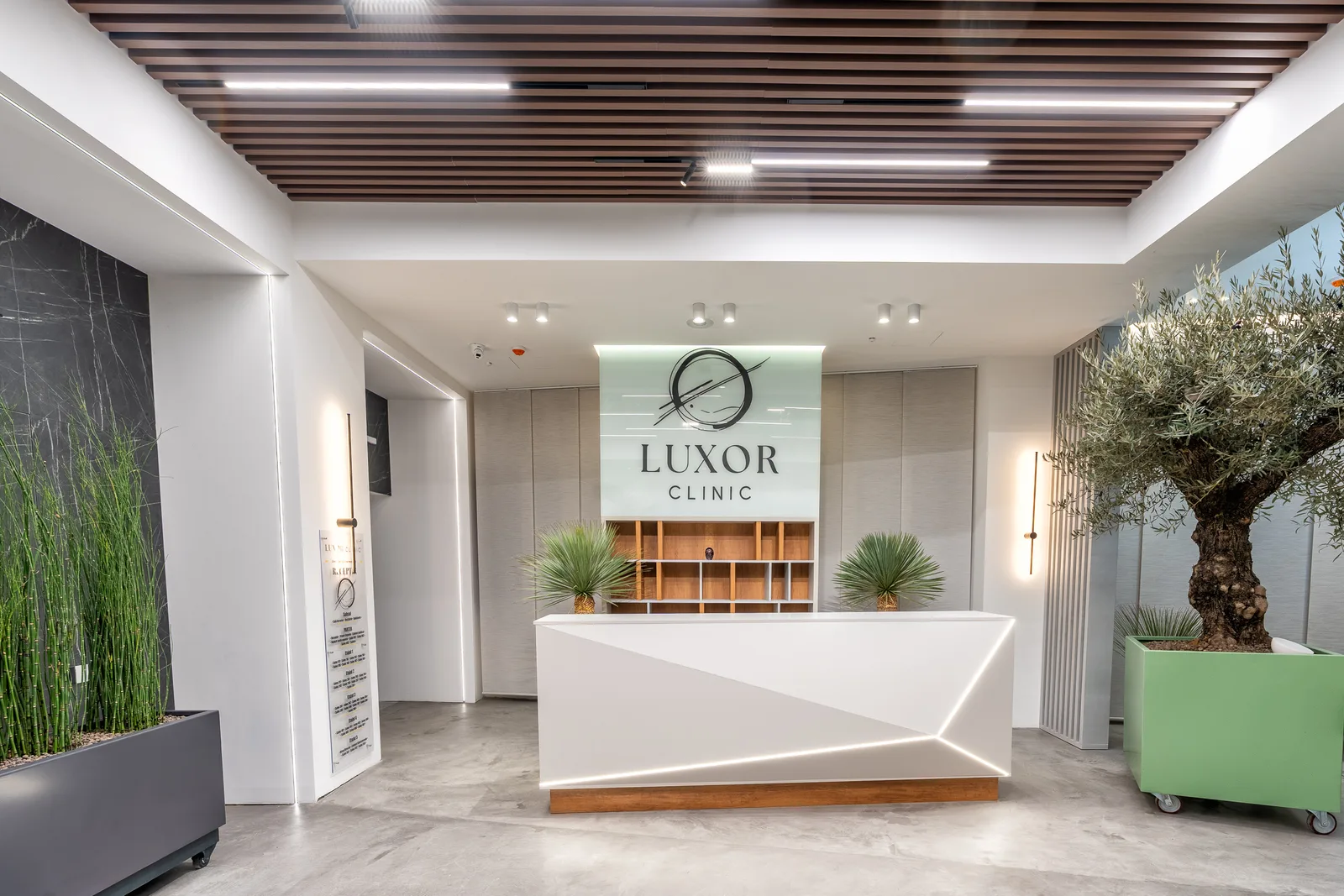 LUXOR CLINIC 7