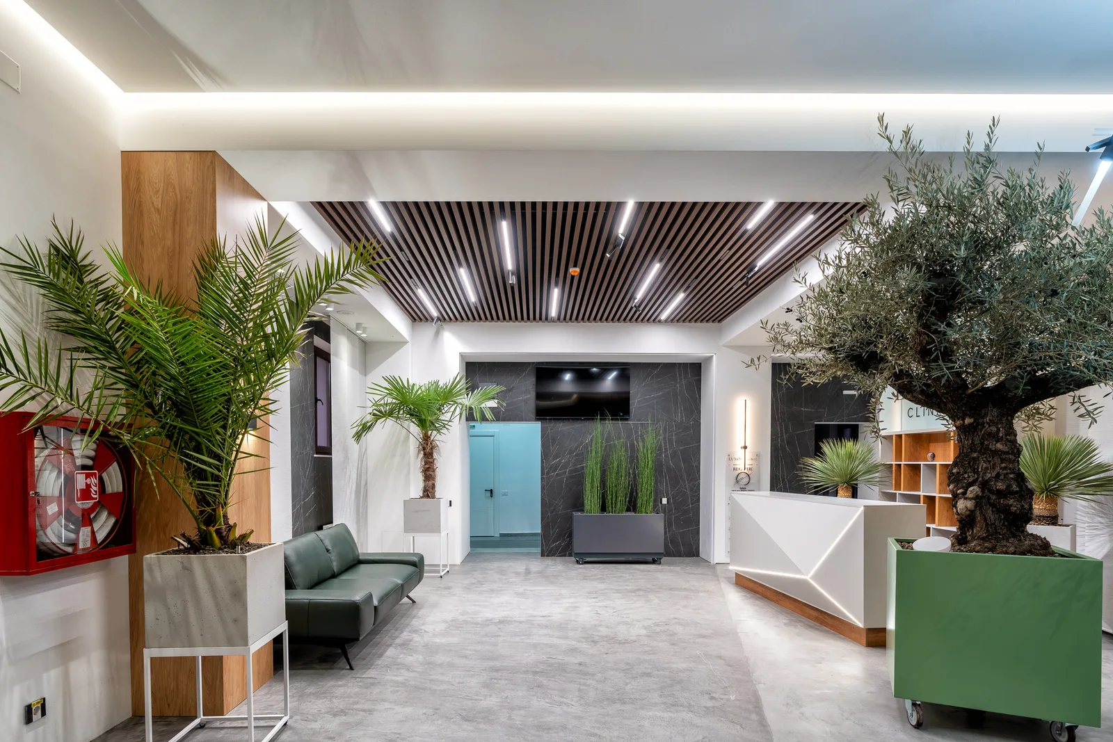 LUXOR CLINIC 12