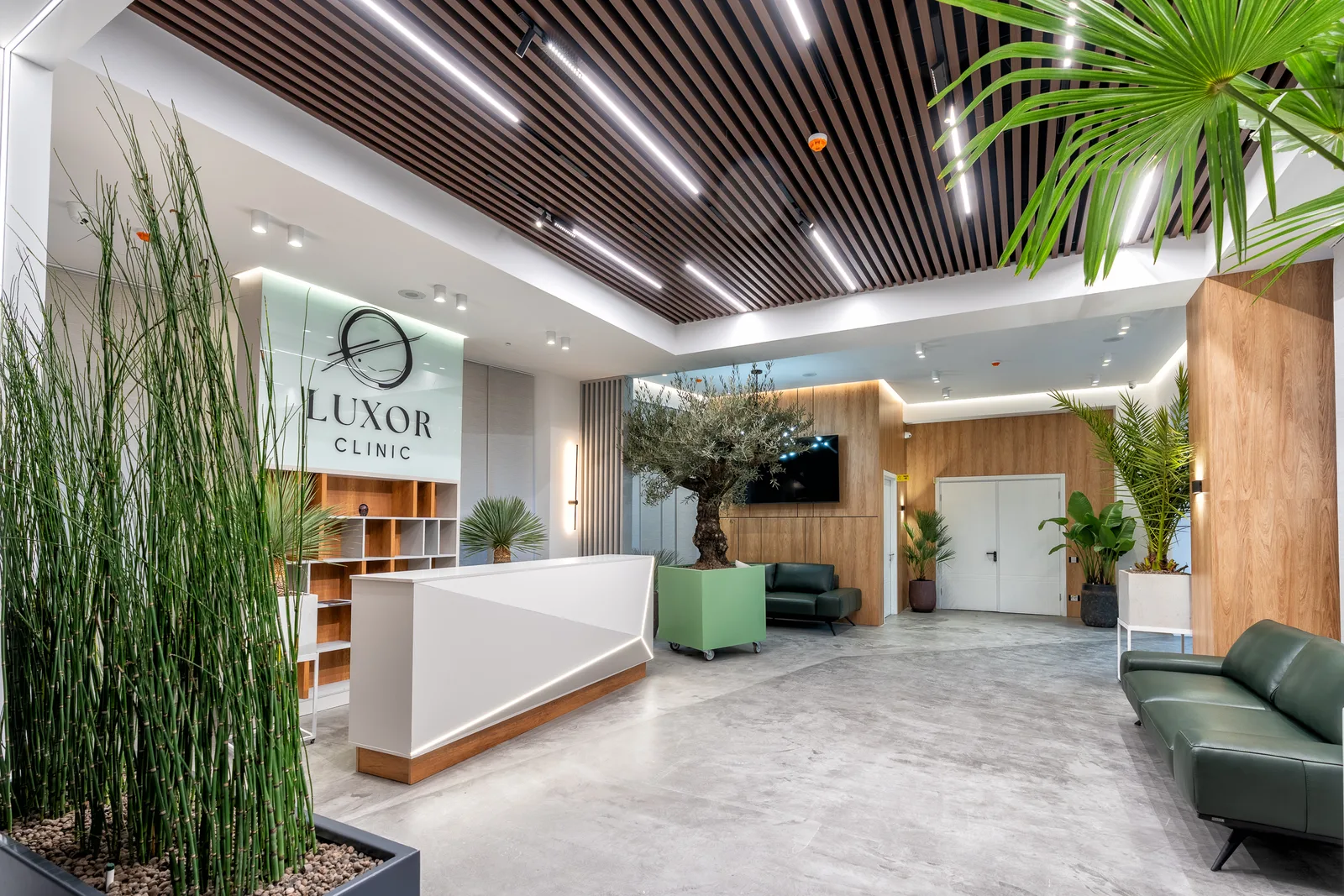 LUXOR CLINIC 13