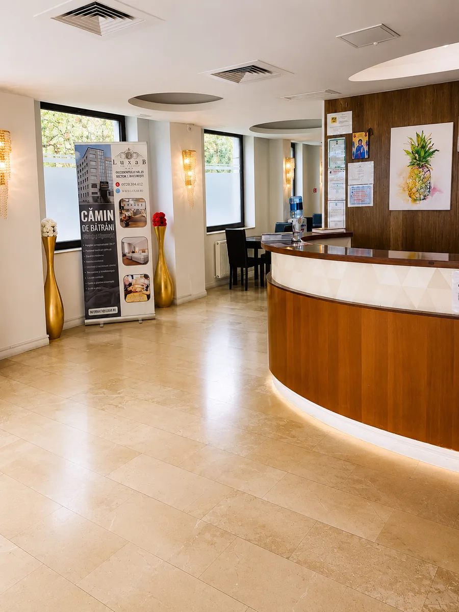 Camin de Batrani LUXAB 13