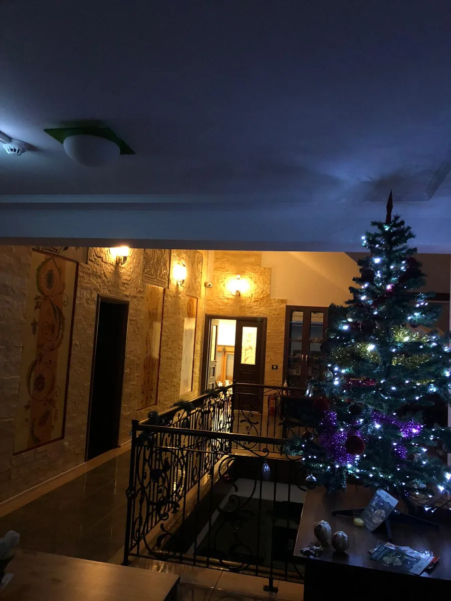 Forest House Pipera 10