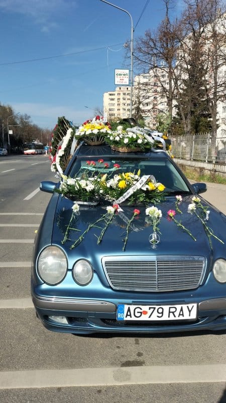 Colț de Rai Etern 5