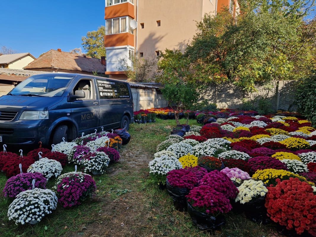 MGM Casa Funerară D'Ana 3