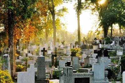 Servicii Funerare Lumidan 2