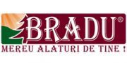 Servicii Funerare Bradu