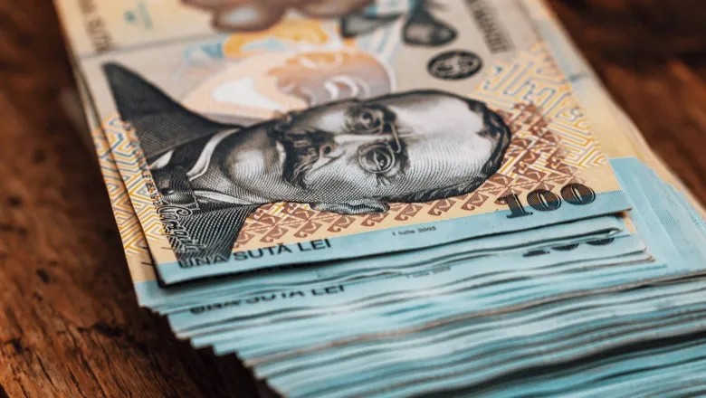 Daniel Dăianu: România nu riscă retrogradare de la S&P, dar situația rămâne gravă