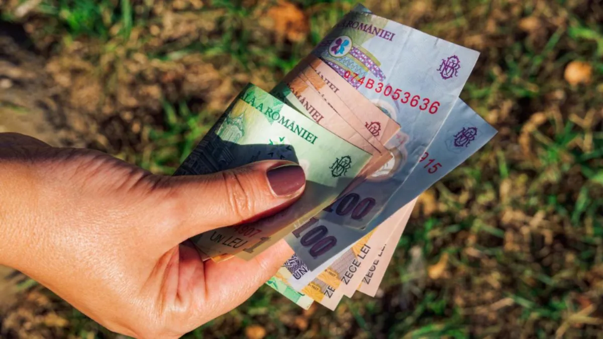Patronatele solicită menținerea salariului minim la 4.050 lei - Impact asupra pensionarilor