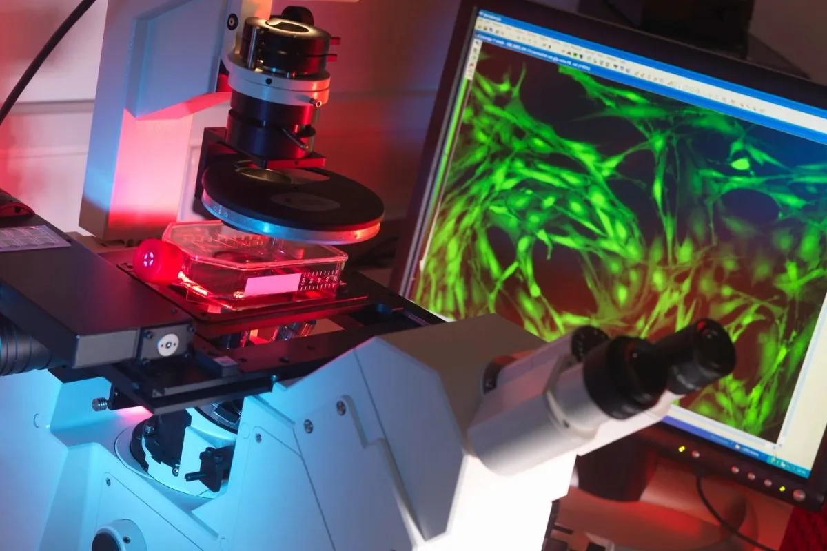 AI Helps Japanese Researchers Discover the Gene That Alters Blood Stem Cells During Ageing