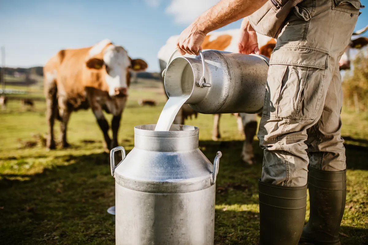 Plafonarea prețurilor la alimente afectează grav seniorii - fermieri vând sub cost