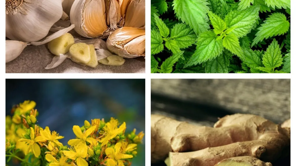 8 mirodenii și plante aromatice care întăresc imunitatea seniorilor