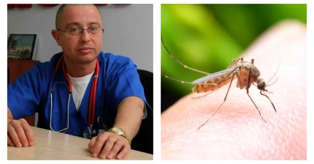 Virusul West Nile: trei cazuri confirmate, unul mortal. Medic: „Nu neglijați înțepăturile de țânțari”