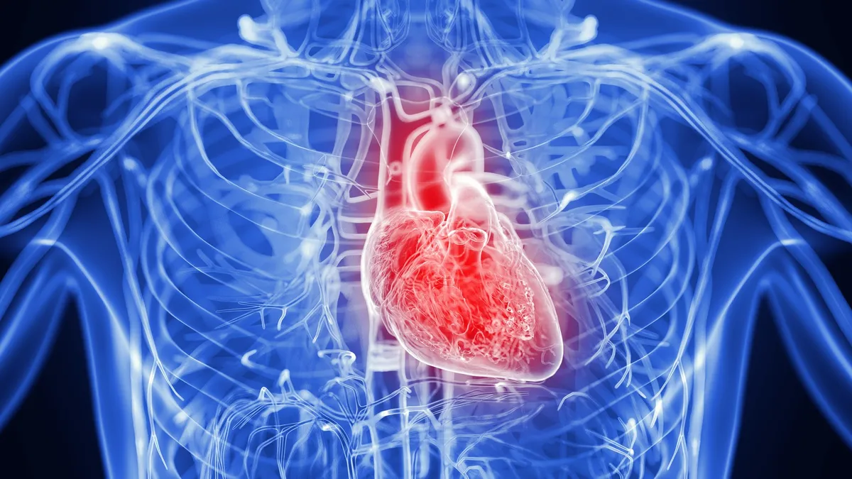 Inflamația cronică poate afecta inima înainte de simptome, arată un studiu pe 488.000 de persoane